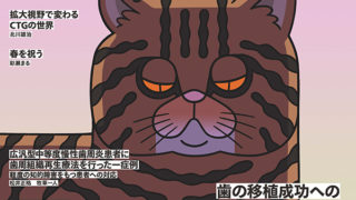 デンタルダイヤモンド11月号が発売されました